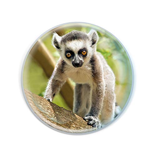 Magnidome – Ring-Tailed Lemur from Deluxebase. Lemur Crystal Glass Fridge Magnet for Kids. Superb Domed Shaped Round Magnets for Home Decorations and Accessories