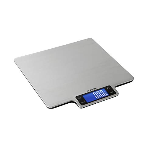 Taylor Precision Products 22lb Ultra-Precise Digital Stainless Steel Household Kitchen Scale, One, Silver | The Storepaperoomates Retail Market - Fast Affordable Shopping