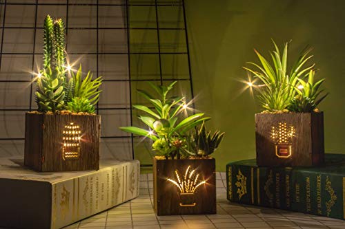 BEGONDIS Set of 3 Artificial Succulents with Led Lights in Wooden Box, Artificial Plants Plastic Fake Topiary for Home/Office Decorations, Table Centerpiece