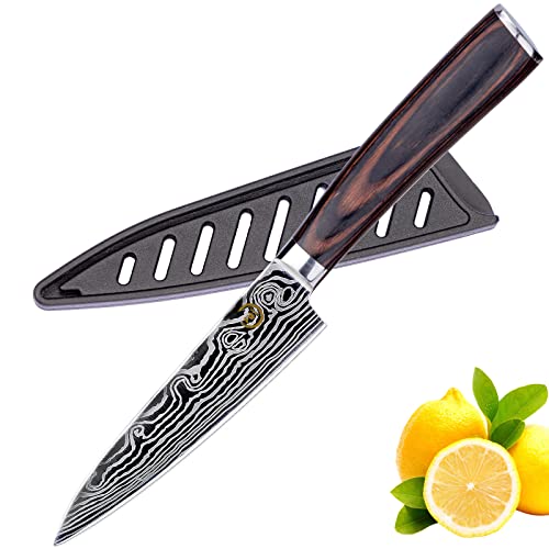 Utility Knife 5 inch – Kitchen Utility Knife Forged from Stainless Steel 5Cr15Mov(HRC56), Razor Sharp Paring Knife with Ergonomic Handle for Home, Multipurpose Kitchen Utility Knife
