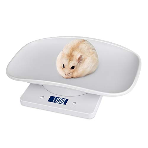 WIOR Food Scale Grams and Ounces, 22lb/10kg Digital Scale, Kitchen Scale with 1g/0.1oZ Precise Graduation, LCD Display Digital Food Scale for Kitchen, Baking, Cooking, Ingredients, Jewellery, Pet