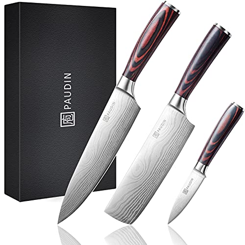 PAUDIN Kitchen Knife Set, Professional Chef Knife Set with Ultra Sharp Blade & Wooden Handle, 3 Pieces High Carbon Stainless Steel Knife Set