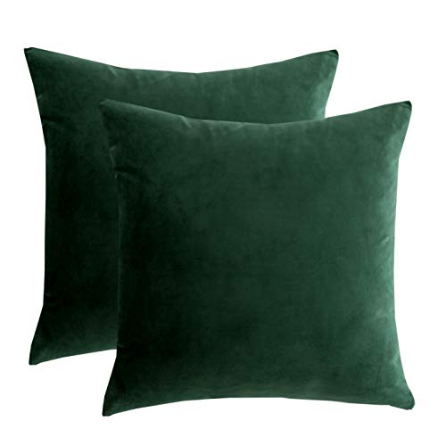 RainRoad Velvet Decorative Throw Pillow Covers Cushion Cover Pillow Case for Sofa Couch Bed Chair ,Soft Square Dark Green Throw Pillows 18×18 Inch,Set of 2