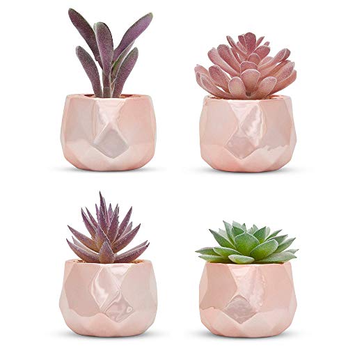 Nordik Set of 4 Desk Plants in Rose Gold – Office Decor for Women, Indoor, Living Room, Bedroom, Home and Desk Decor – Pink Faux Succulents Geometric Ceramic Planters