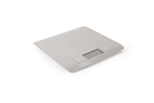 Frigidaire 11FFSCAL01 Ready Prep Stainless Kitchen Scale, One Size, Silver