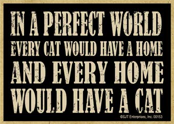 SJT ENTERPRISES, INC. in a Perfect World Every Cat Would Have a Home & Every Home Would Have a Cat – Wood Fridge Kitchen Magnet – Made in USA – Measures 2.5″ x 3.5″ (SJT00153)