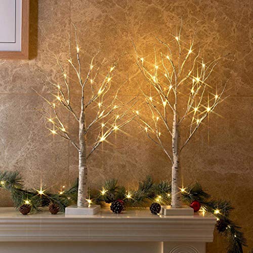 PEIDUO Christmas Decorations, Set of 2 Birch Tree with LED Lights, Valentines Day Decor, Easter Decorations for The Home, Battery Powered Timer(2FT Warm White)