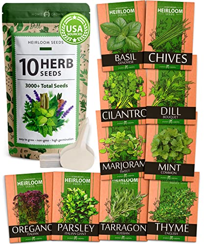 10 Culinary Herb Seeds – Non-GMO, Heirloom Seeds – 3000+ Seeds for Planting for Outdoor or Indoor Herb Garden, Basil, Cilantro, Parsley, Chives, Thyme, Oregano, Dill, Marjoram, Mint, Tarragon