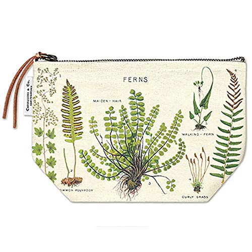 Cavallini Papers & Co. Ferns Vintage Pouch, Multi