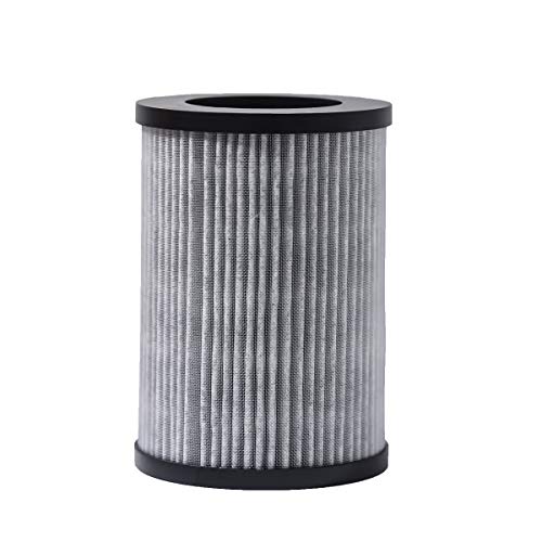 HEPA Air Filter Replacement for Air Purifier (W080), Compatible Purifier Model: DP041