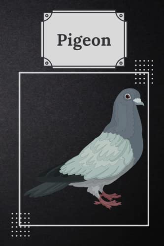 Pigeon: Lined Notebook 120 Pages