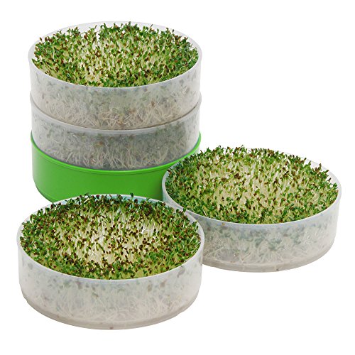 Kitchen Crop VKP1200 Seed Sprouter, | 6″ Diameter Trays, 1 Oz Alfalfa Included | The Storepaperoomates Retail Market - Fast Affordable Shopping