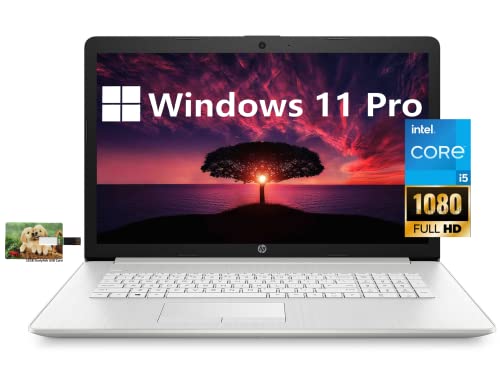 HP 17 Business Laptop Computer, 11th Gen Intel Core i5-1135G7, 17.3″ FHD IPS Display, Windows 11 Pro, 16GB RAM, 512GB SSD+1TB HDD, Wi-Fi 6, Bluetooth, Webcam, Backlit keyboard, 32GB Durlyfish USB Card