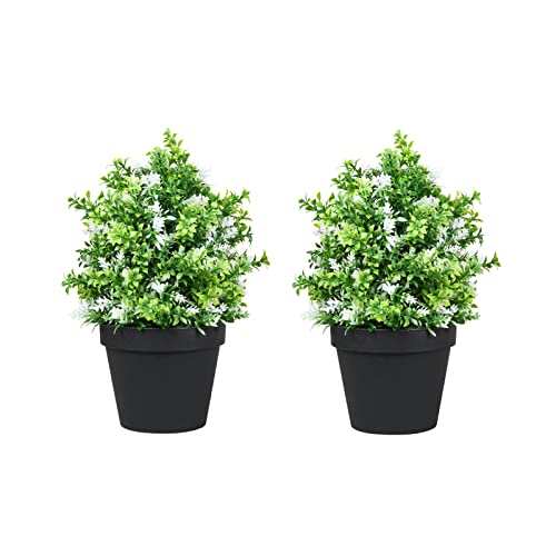 FELICIGG 2 Pack Artificial Plants in Pot, Faux Potted Greenery Plant for Indoor Decorations, Small Fake Plastic Plant for Home Office Garden Decoration,D+d