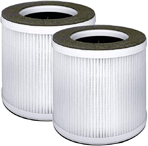 Nispira VK-6067B True HEPA Activated Carbon Filter Replacement Compatible with Vremi Air Purifier / Kokeki Air Purifier , 2 Packs