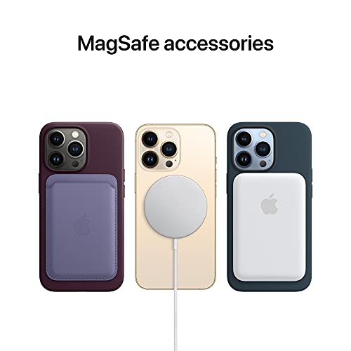Apple iPhone 13 Pro Max Silicone Case with MagSafe – Blue Fog | The Storepaperoomates Retail Market - Fast Affordable Shopping
