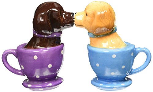Pacific Trading Labrador Retriever Teacup Magnetic Salt & Pepper Shakers They Kiss! Attractives, 3 1/2” Tall
