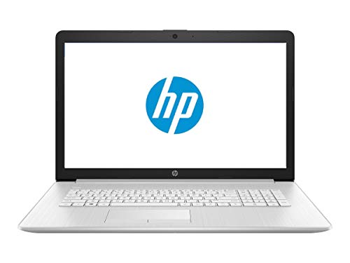 HP 17 Business Laptop – Linux Mint Cinnamon – Intel Quad-Core i5-10210U, 32GB RAM, 1TB HDD, 17.3″ Inch HD+ (1600×900) Display, SD Card Reader, DVD+-RW Burner