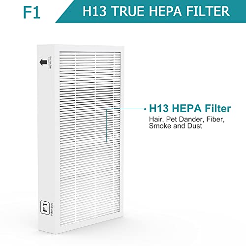 2-Pack F1 H13 True HEPA Filter Replacement Compatible with 3M Filtrete C01 T02 Air Purifier | The Storepaperoomates Retail Market - Fast Affordable Shopping