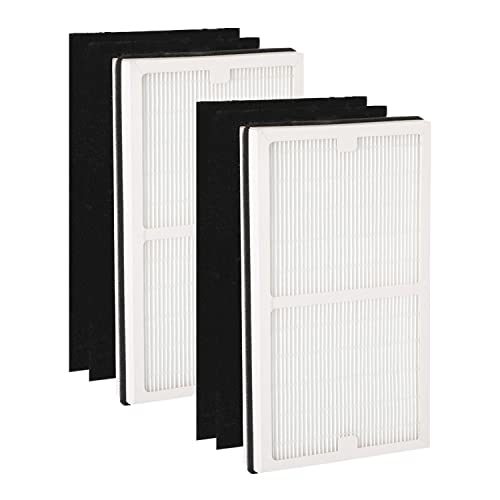 Replacement Filter C Compatiable with Idylis IAP-10-280 and IAP-10-200,Part# IAF-H-100C,IAFH100C,2 Type C Hepa Filter and 4 Activated Carbon Pre-Filters