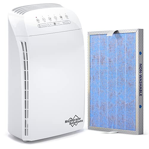 MSA3 Air Purifier with One Extra Original MSA3 Replacement Filter | The Storepaperoomates Retail Market - Fast Affordable Shopping