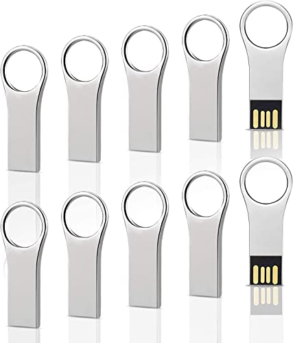 RAOYI 10 Pack 4GB Metal Key Shape USB Flash Drive, USB 2.0 Memory Stick Thumb Drives Jump Drive-Silver