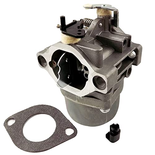 raseparter Carburetor with Gasket Replacement for Briggs & Stratton 286702 286707 289702 289707 28D702 28D707 Lawn Mower Carb