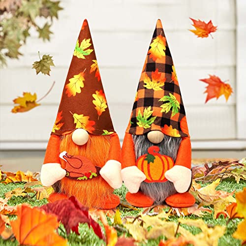 Ndeno 2PCS Thanksgiving Gnome Plush Decorations, Fall ThanksgivingHandmade Scandinavian Tomte – Autumn Pumpkins Home Tabletop Elf Gnomes Decor Ornaments – Lucky Swedish Gift (Harvest Festival), 01
