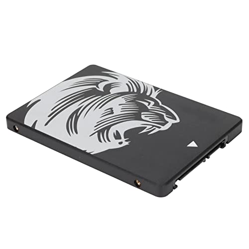 PENO SSD, CMOS Process Portable 2.5in SSD for Desktop for Laptops