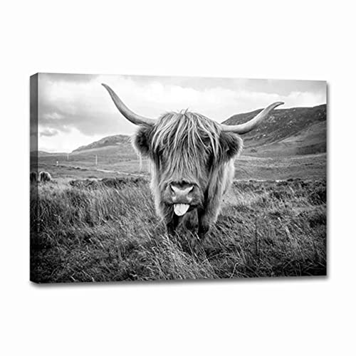 Highland Cow Wall Art Black and White Animal Painting Wall Decor Highland Cattle Pictures Prints Poster for Bathroom Decor Framed Ready to Hang (Black and White Highland Cow-8, 24″x36″ (60x90cm))