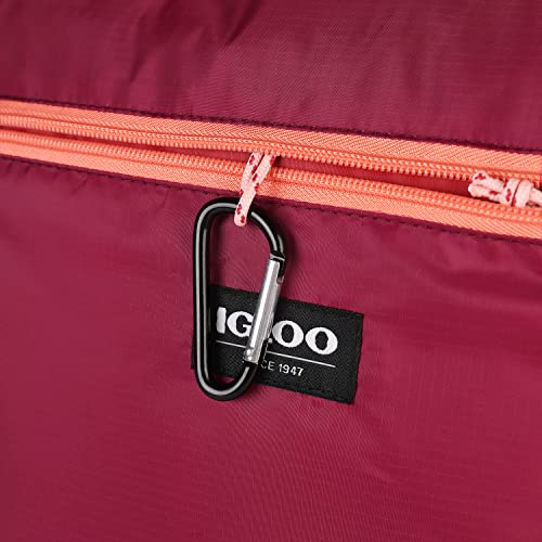 Igloo Packable Puffer 20-Can Cooler Bag | The Storepaperoomates Retail Market - Fast Affordable Shopping
