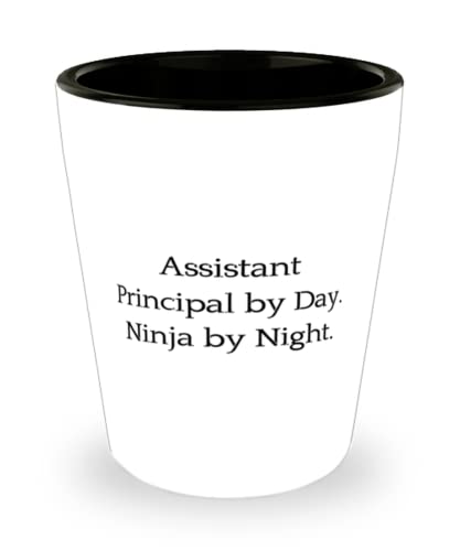 Funny Assistant principal Shot Glass, Assistant Principal by Day. Ninja by Night, Unique Idea for Men Women, Holiday