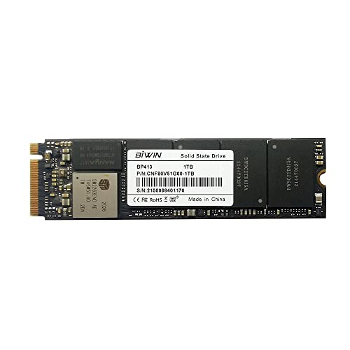 LANRUO BIWIN 1TB M.2 NVMe 2280 SSD Internal SSD – Gen3 x4 PCIe 8Gb/s,Up to 2,400 MB/s (1TB Storage)