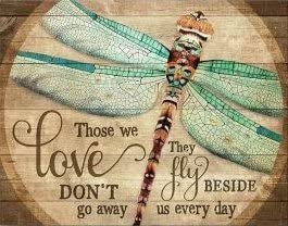 Vintage Wall Art Green Dragonfly Pictures Inspirational Studio Posters Wall Decor Aesthetic Animal Canvas Prints Farmhouse Bathroom Wall Decor Frameless Paintings Dragonfly Gifts For Women 12×16 Inch | The Storepaperoomates Retail Market - Fast Affordable Shopping