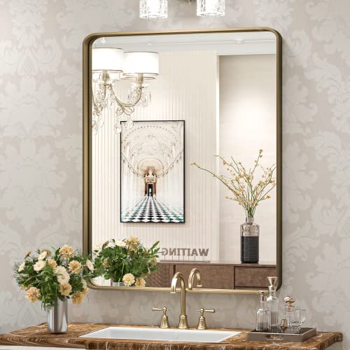 TokeShimi 24 x 32 Inch Bronze Bathroom Wall Mirror Farmhouse Mirror with Non-Rusting Aluminum Alloy Brushed Metal Frame for Modern Farmhouse Bedroom Living Room Decor (Horizontal/Vertical)