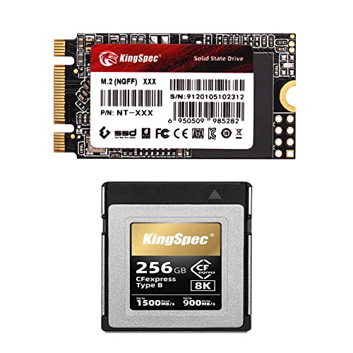 KingSpec 128GB M.2 SATA SSD + 256GB CFexpress Cards Type B