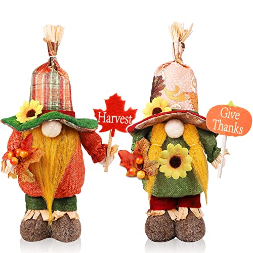 2 PCS Fall Thanksgiving Decorations Plush Gnomes, Mr and Mrs Scarecrow Gnomes Elf Autumn Harvest Give Thanks Thanksgiving Gifts, Fall Thanksgiving Decor for Table Mantle Home Party Tiered Tray Decor