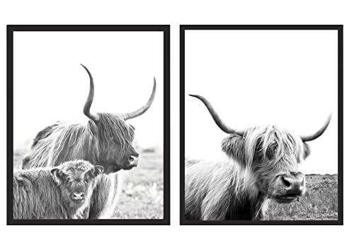 Highland Cows FRAMED Farmhouse Wall Art Photographic Prints. GIFT SET of 2-11×14 Pictures in Black 11×14 Frames. Black, White & Gray Photos of Cows in Pasture.