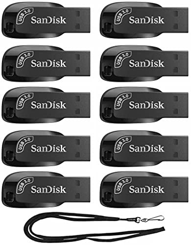 SanDisk 256GB (10 Pack) Ultra Shift USB 3.0 High Speed 100MB/s Flash Drives SDCZ410-256G Bundle with (1) GoRAM Black Lanyard