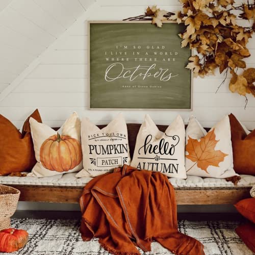 ZWJD Fall Pillow Covers 18×18 Set of 4 Farmhouse Fall Decor Fall Pillows Pumpkin Maple Leaves Hello Autumn Decorative Pillow Covers for Fall Porch Decor Couch Bed | The Storepaperoomates Retail Market - Fast Affordable Shopping