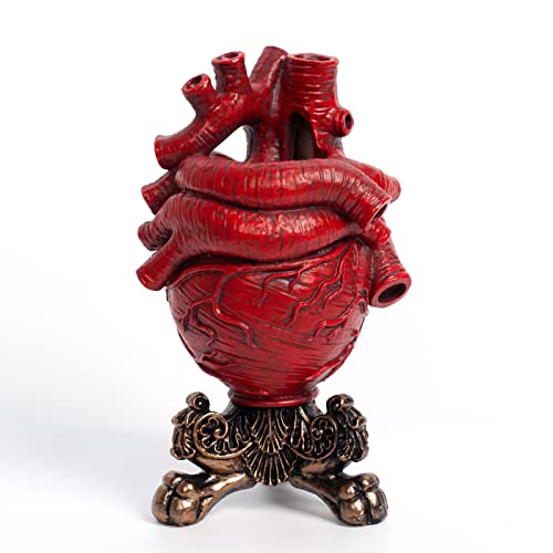 DJZNDINGJIEJIE Gothic Resin Anatomical Heart Vase, Human Heart Shaped Vase Statue Planter Decor, Heart Vases for Flowers Flower Pot, Gothic Desktop Home Gift Living Room Decor (Red)