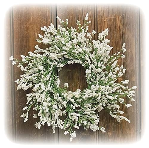 Dried Flower Wreath Accent Decor, Artificial Astilbe Small Greenery Wreath for Vintage Decor, Farmhouse Decorations for Home Decor Accents, 10″ Outer Diameter with 3″ Inner Diameter