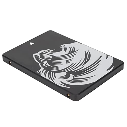 Shanrya SSD, External Ultra-Low Power Desktop SSD for Notebook Computers