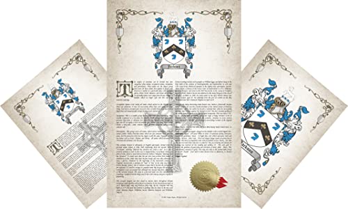 Toro Coat of Arms, Family Crest & History Combo Print – Surname Origin: Italy / Italian
