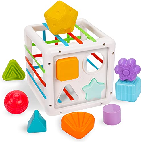 Sensory Toys for Toddlers 1-3, Baby Shape Sorter Toy, Montessori Toys for 1 2 3 Year Old Kids