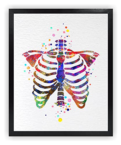 Dignovel Studios 8X10 Unframed Rib Cage Bone Human Anatomy Medical Art Science Doctor Clinic Hospital Watercolor Art Print Home Office Wall Décor Poster DN716