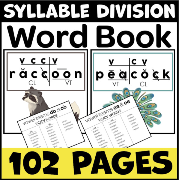 Syllable Division Word Book (VC/CV, V/CV, VC/V, V/V)