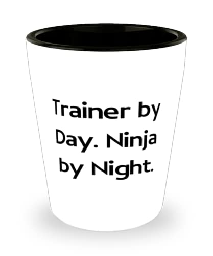 Cheap Trainer Shot Glass, Trainer by Day. Ninja by Night, Present For Coworkers, Unique Idea From Boss