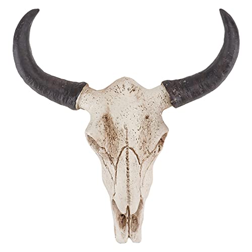IMIKEYA Halloween Cow Skull Decor: Bull Skull Wall Decor Realistic Cow Skull Statue Skeleton Animal Head Wall Decor Bull Head Skull Wall Hanging Art Home Wall Decor