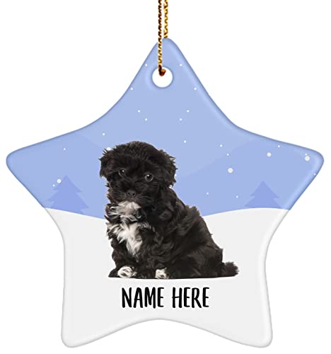 Personalized Name Havanese Dog Black Sitting Christmas Tree Ornaments Star Ceramic, Custom Text Gifts for Dog Mom